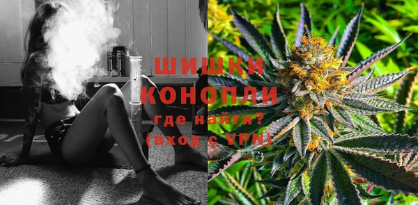 PSILOCYBIN Аркадак