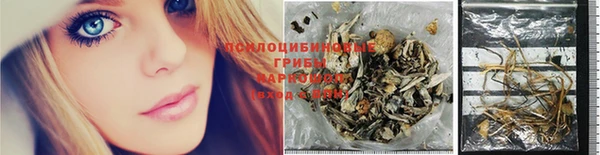 PSILOCYBIN Аркадак